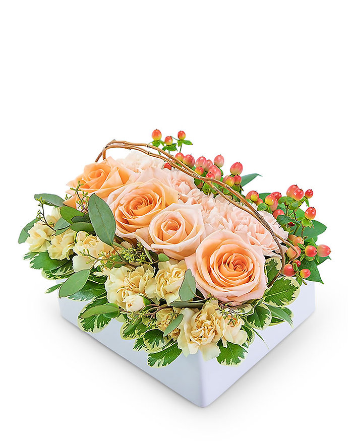 Sorbet Pave