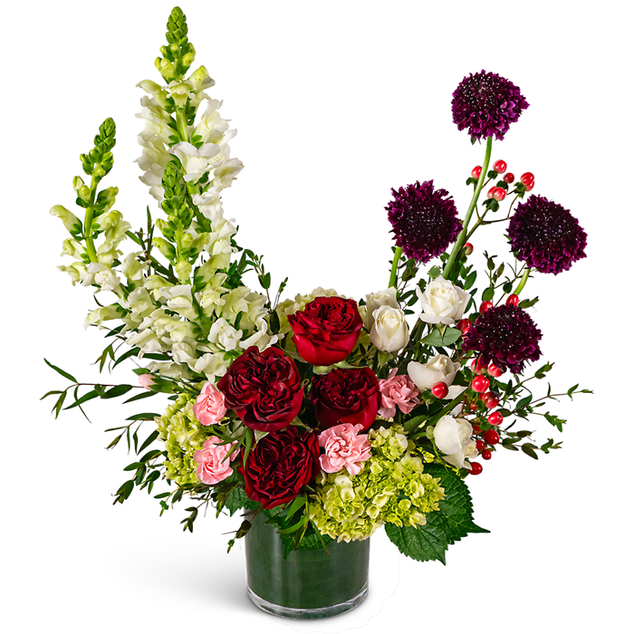 Rosette Romance