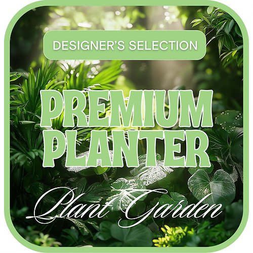Order A Custom Design