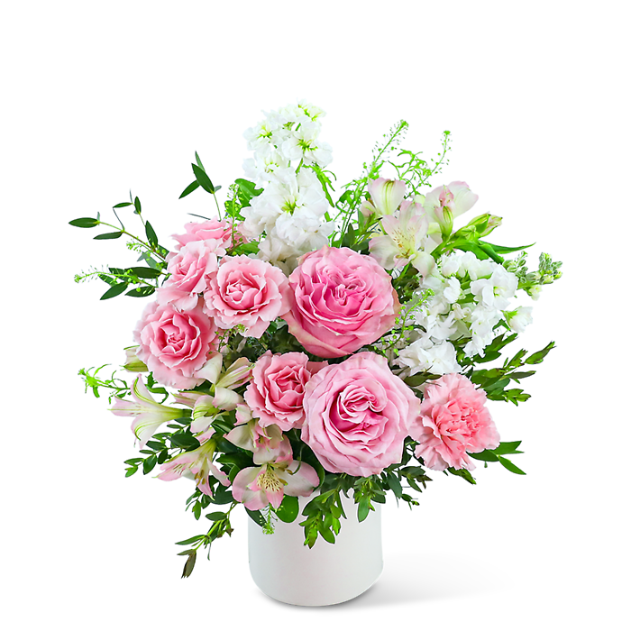 Florence Rose Dream