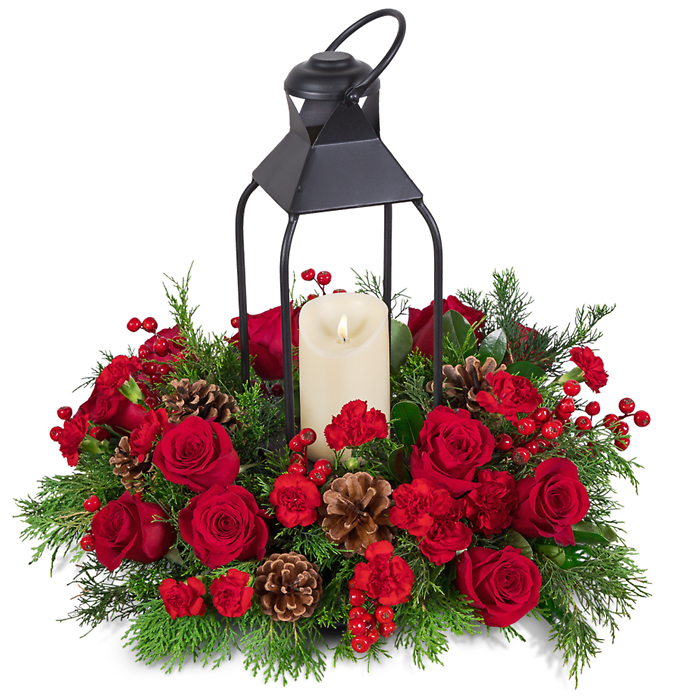 Evergreen Noel Lantern