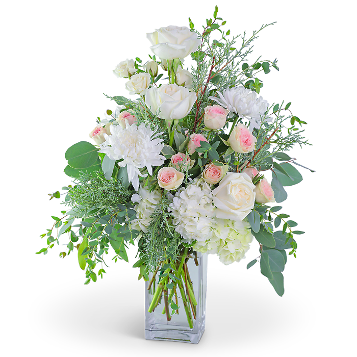 Winter\'s Blush