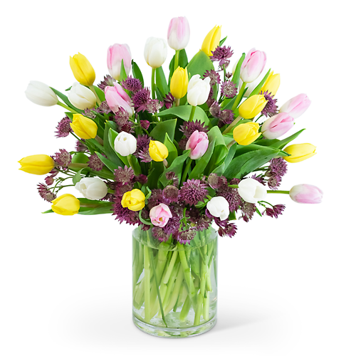 Spring Flowers