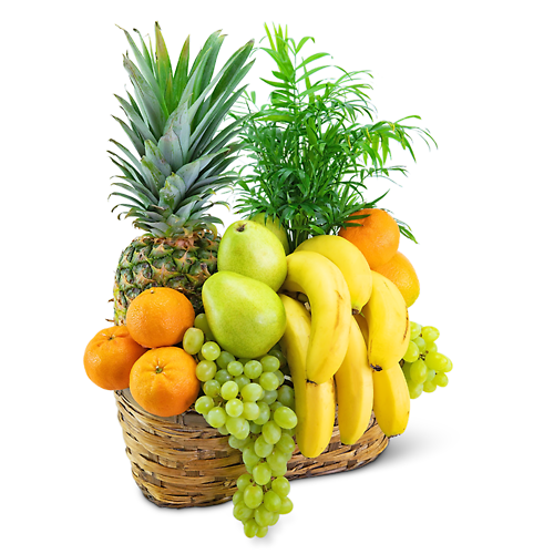 Gift Baskets