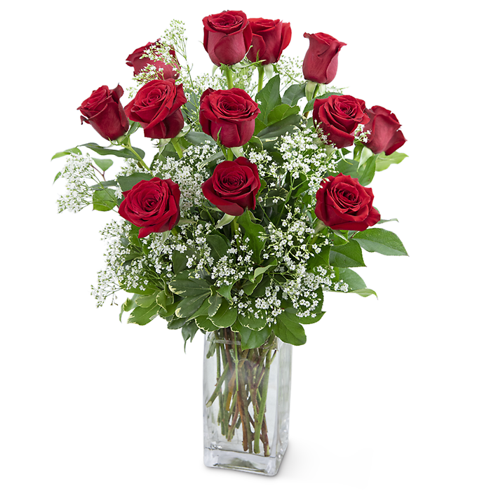 Dozen Roses in a Cloud