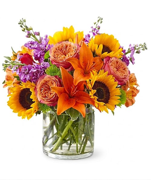 Farmer\'s Choice
