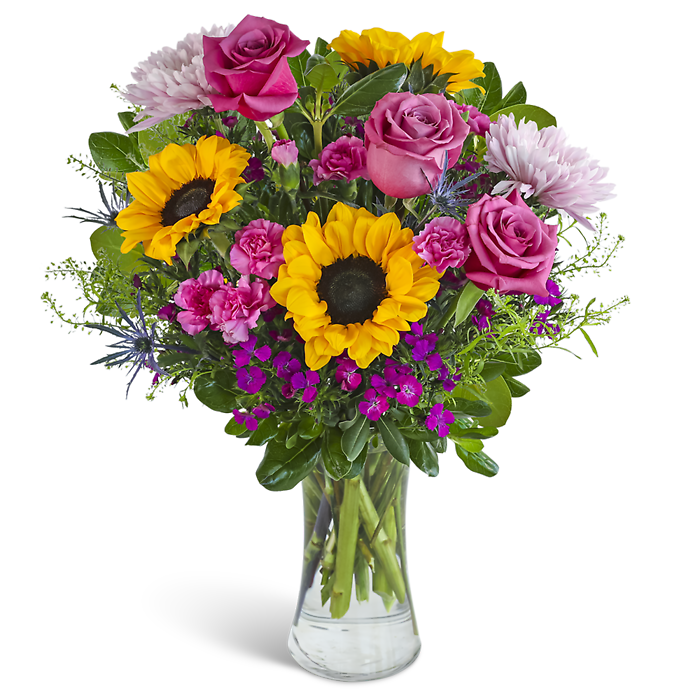 Joy in Bloom